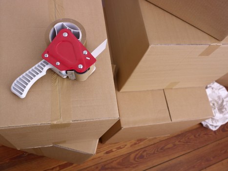 Management reviewing supply chain due diligence documents